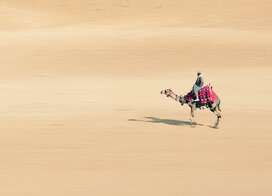 Global Nomads am One-Event: Sa, 21.November in Bulle