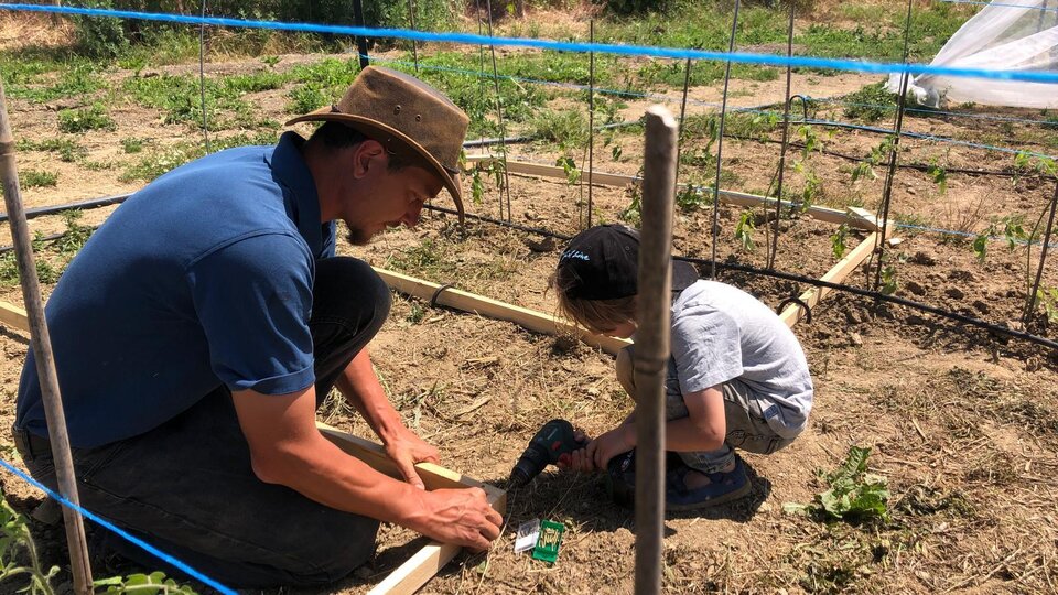 Regenerative Landwirtschaft im Sinne des Schöpfers