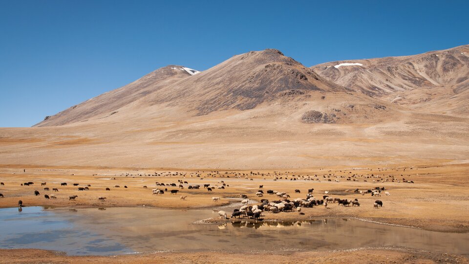 Turkmenistan Experience