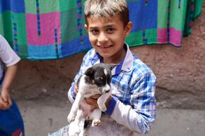 Vorschaubild 201905 bulgarien 85