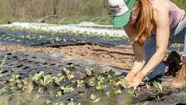 Landwirtschaft